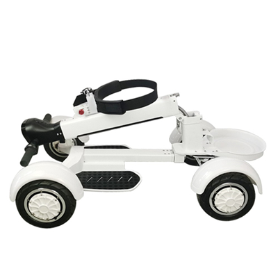 CE certifed 4 Wheel Golf scooter fat tire adult easily parked on the hillside electric golf scooter 2000w Support Customization