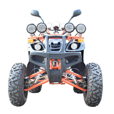 two seat big size adults beach mountain wild off road 1000W 60V electric All terrain vehicle Mud truck ATV SUV cars