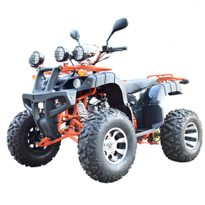 two seat big size adults beach mountain wild off road 1000W 60V electric All terrain vehicle Mud truck ATV SUV cars