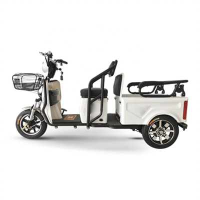 two seat dual persons shopping bike mobility elderly Assisted travel Electric Tricycles three wheels scooter with big carriage