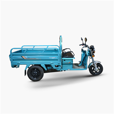 easy travel in busy traffic Cargo express delivery taxi farm freight transport three wheels Electric pickup truck Tricycles