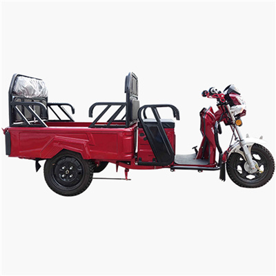 Big carriage Cargo express delivery farm freight takeaway takeout transport flat three wheels Electric pickup truck Tricycles