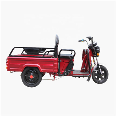 Cargo express delivery shipment transfer taxi farm freight takeaway takeout transport three wheel Electric pickup truck Tricycle