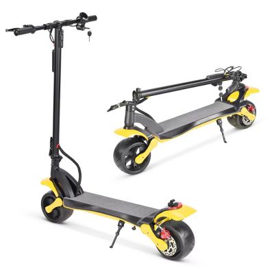 Big fat 10 Inch wheels tyres double 500W 800W motor strong climbing aluminum alloy Portable easy folding electric kick scooters