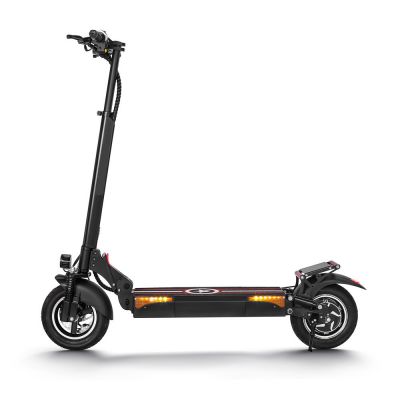 800W 10 Inch 48V 10AH LED light big size Double shock absorption alloy body Portable folding electric kick scooter disc brake
