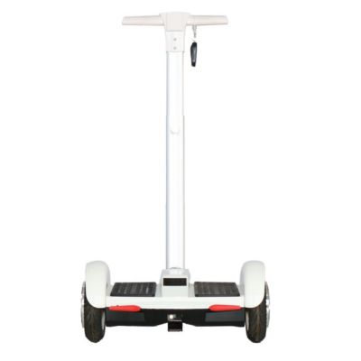 Big fat 8 Inch wheels tyre 700W double motor strong climbing skateboard alloy electric Self-balancing car cruiser scooter bike