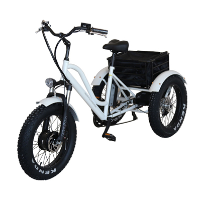 750W 26 inch easy shopping bike reduced mobility Handicapped The elderly Assisted travel Electric Tricycles three wheels bike