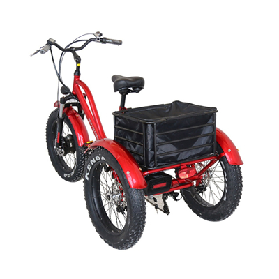 750W 26 inch easy shopping bike reduced mobility Handicapped The elderly Assisted travel Electric Tricycles three wheels bike