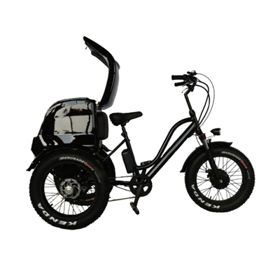 750W 26 inch easy shopping bike reduced mobility Handicapped The elderly Assisted travel Electric Tricycles three wheels bike
