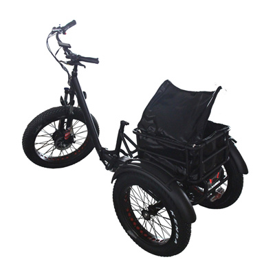 3 Wheel electric bike 36v Electric tricycle cargo bike for adult hot sale for EU market takeaway takeout delivery express
