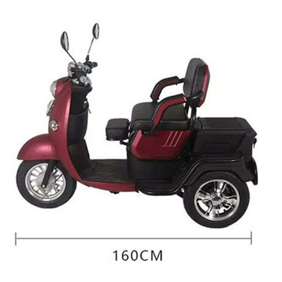 500 600 800 1000W 48 60 72V 10 inch parent children Reverse gear Rear drive two seats electric three wheels tricycle scooter