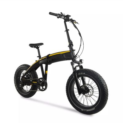 20 Inch big fat tyres 21speeds 750W off road moutain outdoor sport women child kids wild Folding foldable Electric Bike bicycles