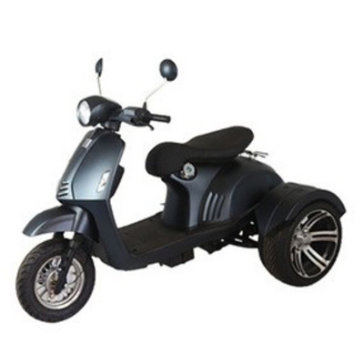 600W 1000W 60V 72V 20AH big fat tyres moutain off road handicapped Assisted travel Electric Tricycles three wheels scooter
