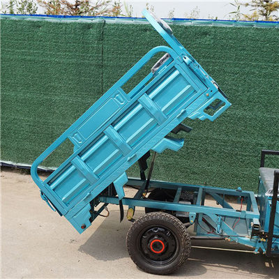 1.5m cargo box big battery strong motor electric tricycle for cargo delivery thickened steel frame heavy load electric scooter