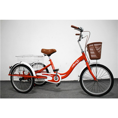 hot sale 250w 48v Electric tricycle cargo vehicle for adult cargo tricycles for sale 3 wheels electric scooter tricycle trike