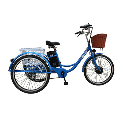 hot sale 250w 48v Electric tricycle cargo vehicle for adult cargo tricycles for sale 3 wheels electric scooter tricycle trike