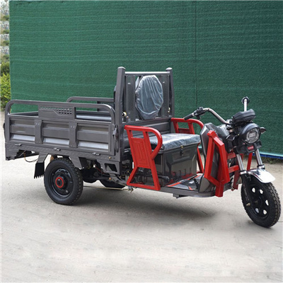 Newest large size heavy duty scooter with delivery box passenger and cargo high powerful 800w 48v electric rickshaw 3 wheeler