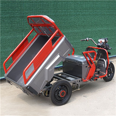 1.1 M electric vehicle delivery box 650w electric three wheeled scooters tricycle heavy delivery mountain climbing cargo