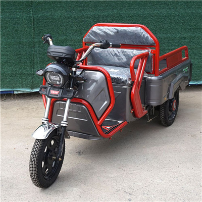 1.1 M electric vehicle delivery box 650w electric three wheeled scooters tricycle heavy delivery mountain climbing cargo