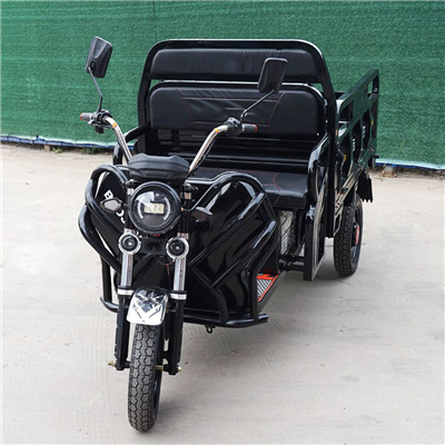 Front and rear fat tire 375-12 LED lights heavy load electric tricycle 1000W differiential motor 3 wheel with LCD Display