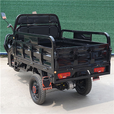 Front and rear fat tire 375-12 LED lights heavy load electric tricycle 1000W differiential motor 3 wheel with LCD Display