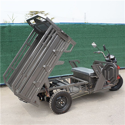 1000w 48v electric scooter for delivery carbon steel body mobility scooters electric 3 wheel 2 seater motorcycles tricycles