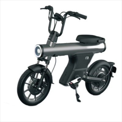 350W 48V 12AH 16 INCH tyres big wheel 2021 new design removable lithium battery electric scooter motorcycle motorbike
