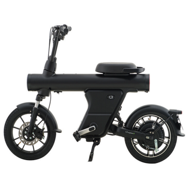 350W 48V 12AH 16 INCH tyres big wheel 2021 new design removable lithium battery electric scooter motorcycle motorbike