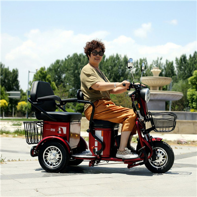 48v 12ah Lead-acid batteries electric three wheel scooter four passengers two baskets 600w pedal electric tricycle scooter