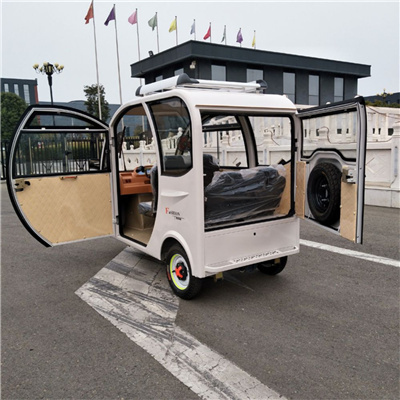 Enclosed round 3 electric vehicle for 4 passenger 650w mini new energy 60v tricycle three turns electric car low price from CN