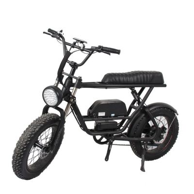 20 Inch electric bike 36v fat tire electric mountain bike customized electric motorcycl bicycle white black Individual bikes