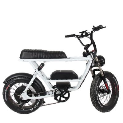 20 Inch electric bike 36v fat tire electric mountain bike customized electric motorcycl bicycle white black Individual bikes