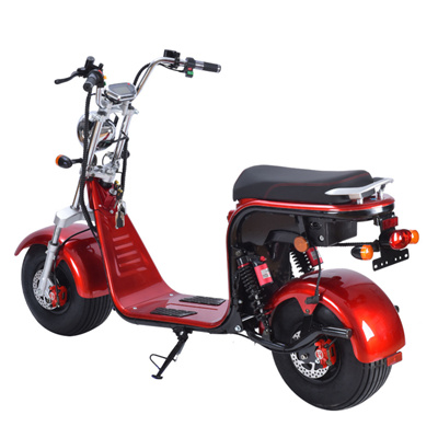 EEC COC CE DOT 10inch Aluminium alloy rims Removable lithium battery Fat tyres electric city coco scooters bikes classic moped