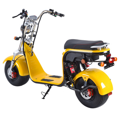 EEC COC CE DOT 10inch Aluminium alloy rims Removable lithium battery Fat tyres electric city coco scooters bikes classic moped