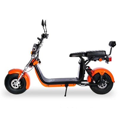 EEC COC CE EMC DOT ROSH 3C Removable lithium double battery Fat wheels big tyres electric city coco scooters bikes classic moped