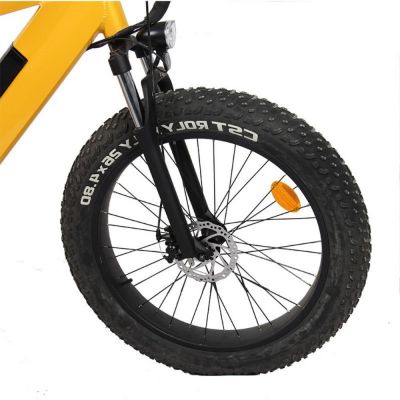 26 inch electric mountain bike 48v 1000W fat tire electric bike fast speed electric bicycle