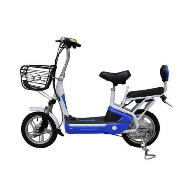 250w 48V lithium battery adult small electric scooters male and female pedal-assisted bicycle 2 seat electric utility vehicle