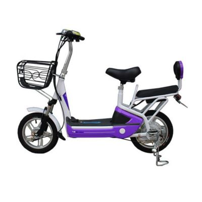 250w 48V lithium battery adult small electric scooters male and female pedal-assisted bicycle 2 seat electric utility vehicle