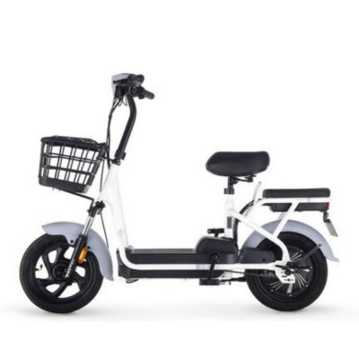 350W 48V 12AH 14 inch cheap simple Commute lead acid battery iron body parent children electric scooter bike bicycle two seat