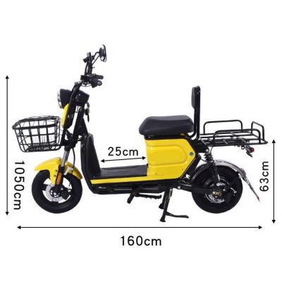 Long range high speed takeaway food delivery vehicle 48v 16ah lithium battery front and rear dics brake safe driving 2 seat bike