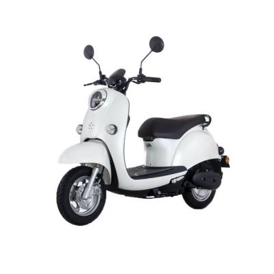 800W 60V20AH 10inch classic romantic led display hydraulic shock absorption disc brake lead acid battery electric scooters