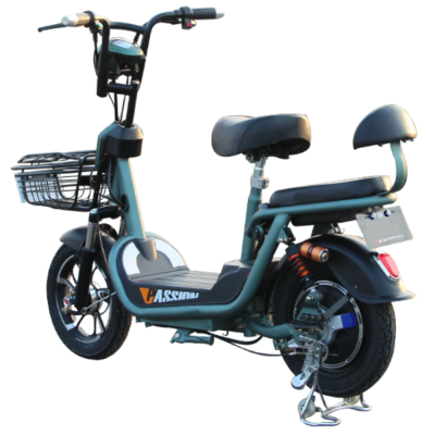 whole Iron body frame add Smart APP sharing renting cargo express Intelligent anti-theft system Electric scooter bike bicycle