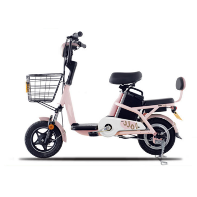 250W 48V 12AH 12 inch simple new design removable lithium battery iron body ASP System LED light electric scooter bike bicycle