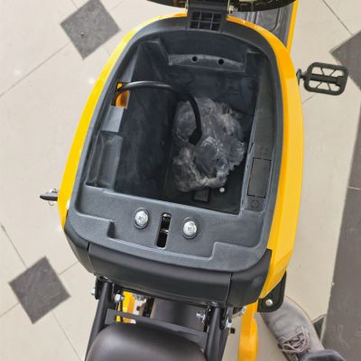 delivery express sharing renting cargo takeaway takeout fashion design Smart APP system electric scooters bikes classic moped