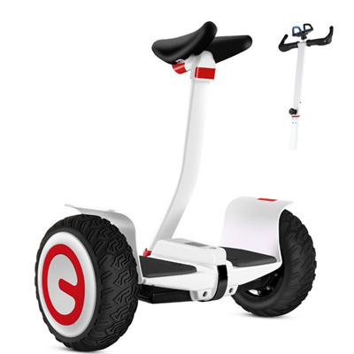 10inch 700w power electric 2 wheel self-balancing unicycle scooter BMS system upgrade off road tire Bluetooth Download APP