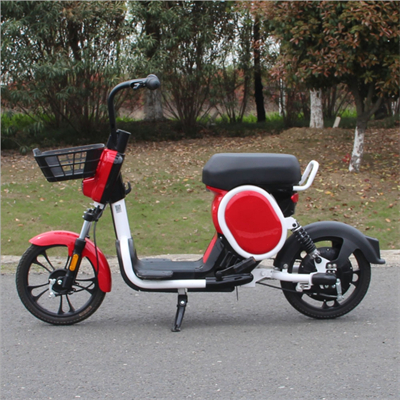 350W 500W 800W 48V 16inch tyres wheel Smart APP sharing renting swapping station new lithium battery electric scooter bikes