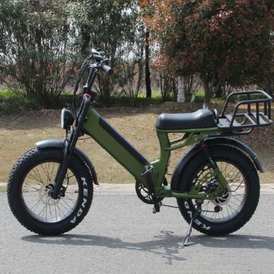 20 inch fat tyres 750W 48V/14AH 27 speeds mountain off-road camping beach electric bicycle bike motocross motorcycle motorbike