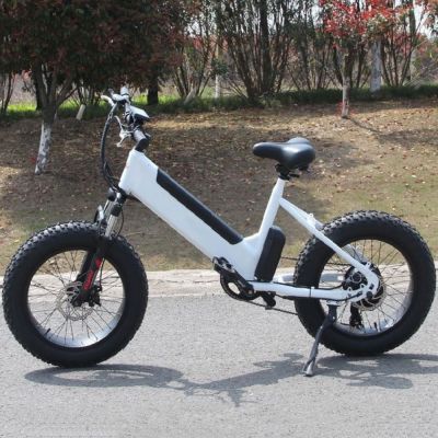 20 inch fat tyres 500W 48V/14AH 27 speeds mountain off-road camping beach electric bicycle bike motocross motorcycle motorbike