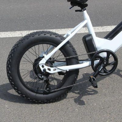 20 inch fat tyres 500W 48V/14AH 27 speeds mountain off-road camping beach electric bicycle bike motocross motorcycle motorbike