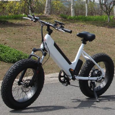 20 inch fat tyres 500W 48V/14AH 27 speeds mountain off-road camping beach electric bicycle bike motocross motorcycle motorbike